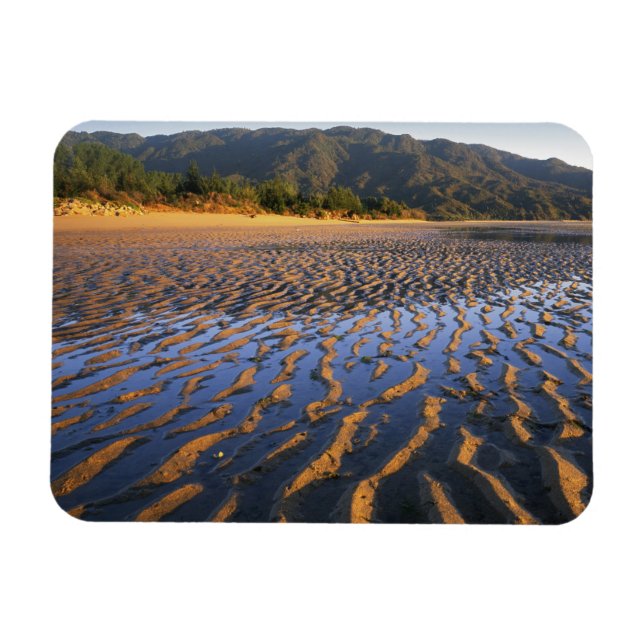 Nya Zeeland, Abel Tasman National Park, Kust 2 Magnet (Horisontell)