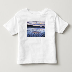 Nya Zeeland, Abel Tasman National Park, Kust T Shirt