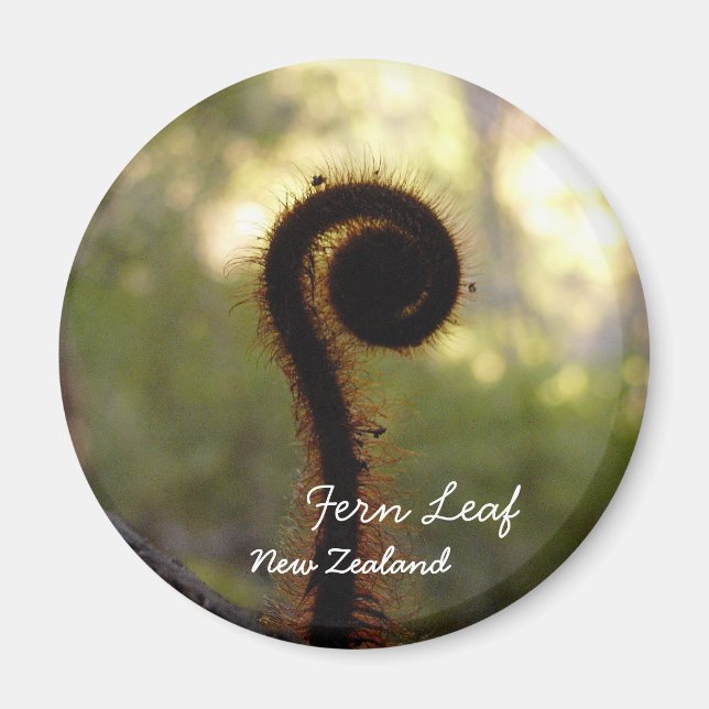 Nya Zeeland, Aotearoa, Fern Löv (Magnet) Magnet (Framsidan)