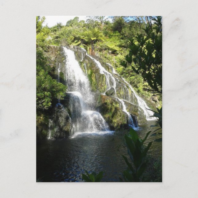 Nya Zeeland av naturen Vykort (Framsida)