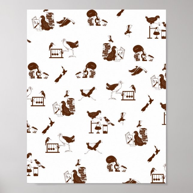 Nya Zeeland Birds Science Studenter Poster (Framsidan)