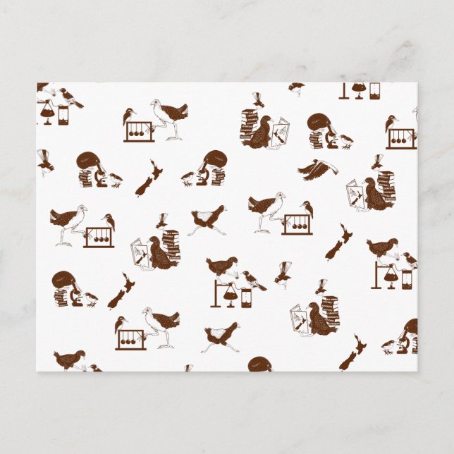 Nya Zeeland Fåglar Vetenskapsstudenter Vykort (Framsida)