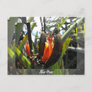 Nya Zeeland Flax-Blommar Vykort