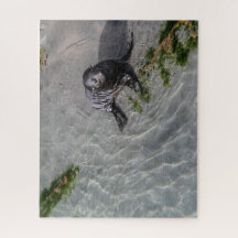 Nya Zeeland Jigszawa Puzzle - Seal valp Wharariki