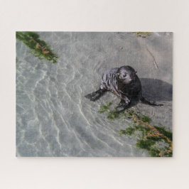Nya Zeeland Jigszawa Puzzle - Seal valp Wharariki Pussel