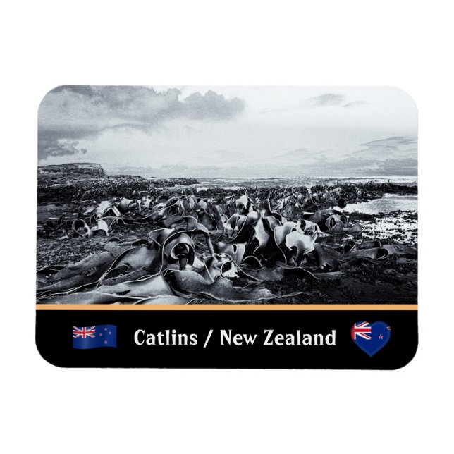 Nya Zeeland, Kelp Kusten - Curio Bay/Catlins Magnet (Horisontell)