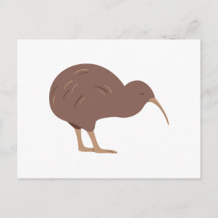 Nya Zeeland Kiwi Vykort