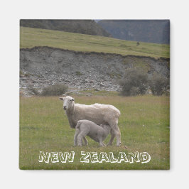 Nya Zeeland, Lamb matande (Fridge Magnet) Magnet