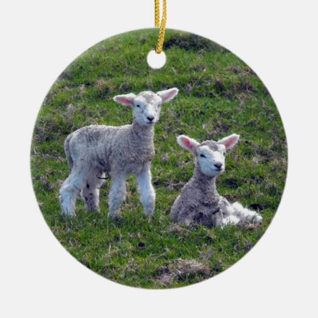 Nya Zeeland Lambs Julgransprydnad Keramik (Framsidan)