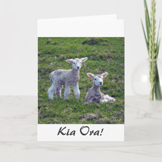 Nya Zeeland Lambs Kort (Framsida)