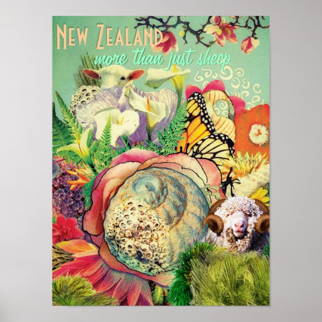 Nya Zeeland mer än bara får Poster (Framsidan)