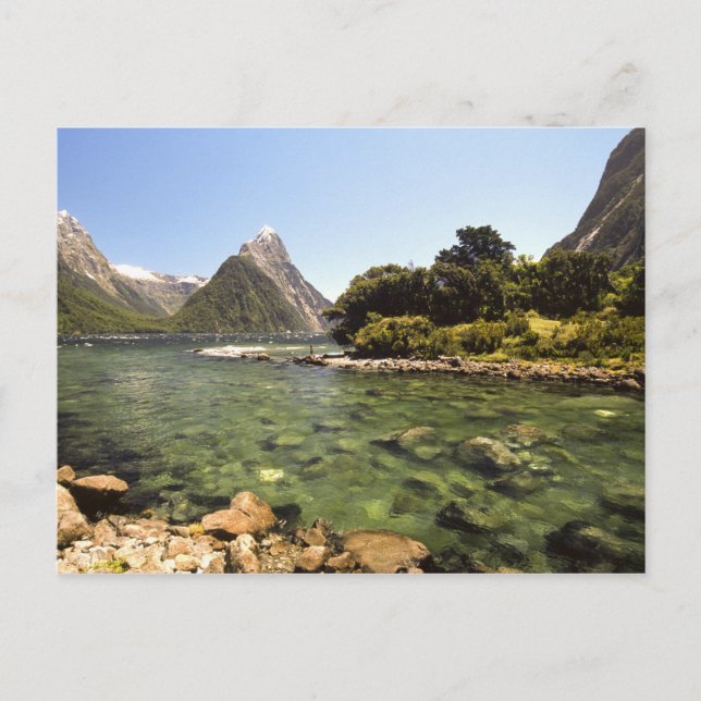 Nya Zeeland, Mitre Peak, & Bowen River ingång Vykort (Framsida)