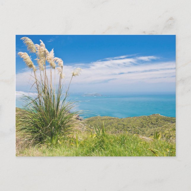 Nya Zeeland, Nordön, Cape Reinga Vykort (Framsida)