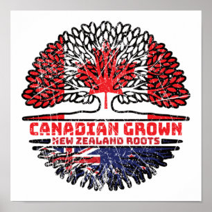 Nya Zeeland Nya Zeeland Canadian Canada Träd Roots Poster