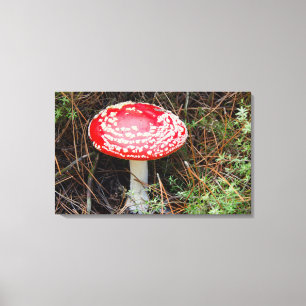 Nya Zeeland, Rotorua, Taupo Volcanic Zon Canvastryck