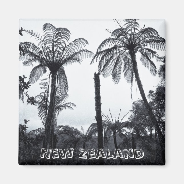 Nya Zeeland, skogen i Fern Träd (Fridge Magnet) Magnet (Framsidan)