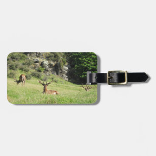 Nya Zeeland Stags Bagagebricka