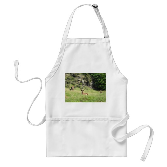 Nya Zeeland Stags Förkläde (Framsidan)