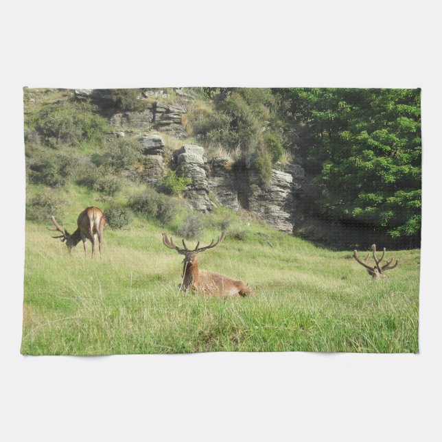 Nya Zeeland Stags Kökshandduk (Horisontell)