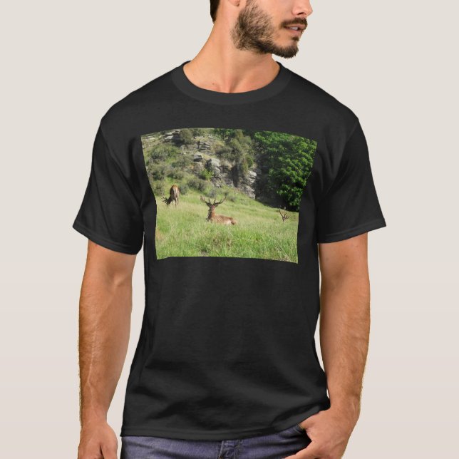 Nya Zeeland Stags Tee Shirt (Framsida)