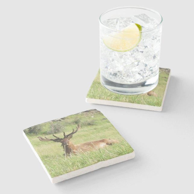 Nya Zeeland Stags Underlägg Sten (Sidan)