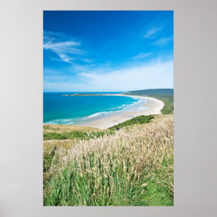 Nya Zeeland, Sydön, Catlins, Tautuku Bay Poster