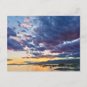 Nya Zeeland, Sydön, Kaikoura, South Bay Vykort