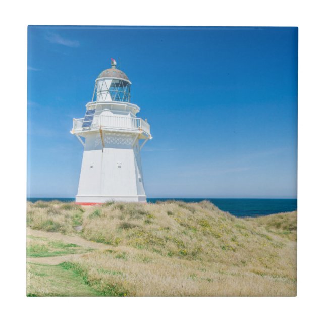 Nya Zeeland, Sydön, Katlins, Waipapa Kakelplatta (Framsidan)