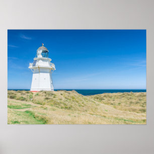 Nya Zeeland, Sydön, Katlins, Waipapa Poster