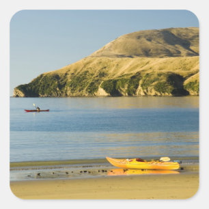 Nya Zeeland, Sydön, Marlborough Sounds. 2 Fyrkantigt Klistermärke