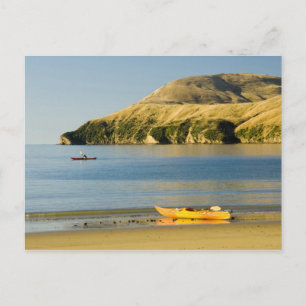 Nya Zeeland, Sydön, Marlborough Sounds. 2 Vykort