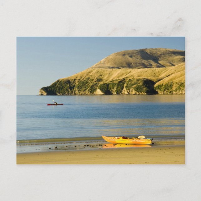 Nya Zeeland, Sydön, Marlborough Sounds. 2 Vykort (Framsida)