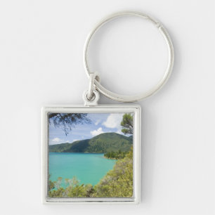 Nya Zeeland, Sydön, Marlborough Sounds. Fyrkantig Silverfärgad Nyckelring