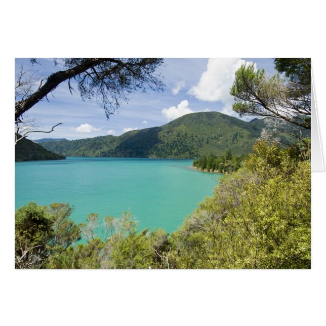 Nya Zeeland, Sydön, Marlborough Sounds. Hälsningskort (Framsidan Horizontal)