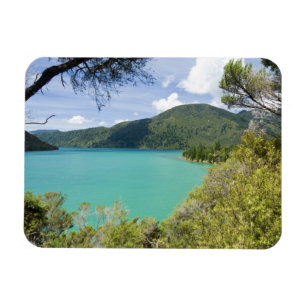 Nya Zeeland, Sydön, Marlborough Sounds. Magnet