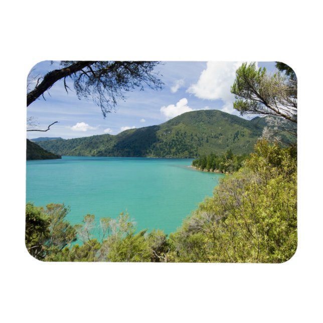 Nya Zeeland, Sydön, Marlborough Sounds. Magnet (Horisontell)