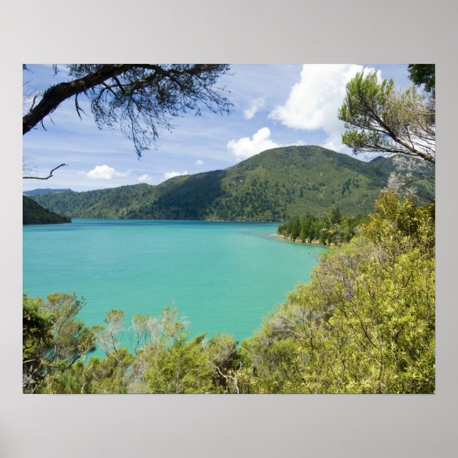 Nya Zeeland, Sydön, Marlborough Sounds. Poster (Framsidan)