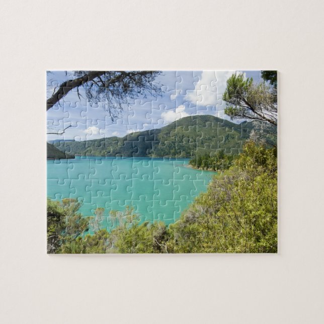 Nya Zeeland, Sydön, Marlborough Sounds. Pussel (Horisontell)