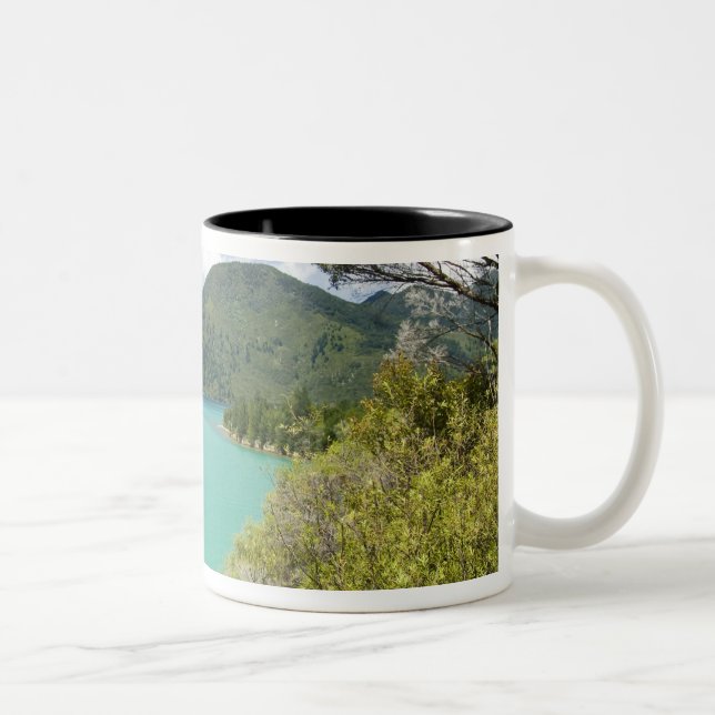 Nya Zeeland, Sydön, Marlborough Sounds. Två-Tonad Mugg (Höger)