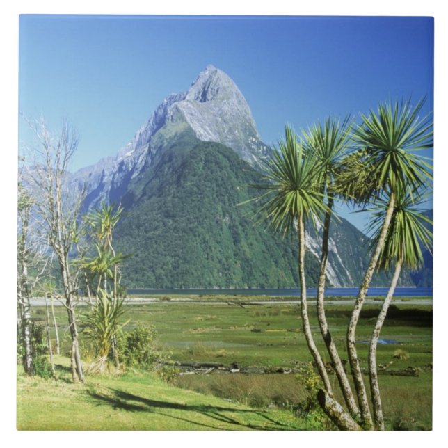 Nya Zeeland, Sydön, Miter Peak Kakelplatta (Framsidan)