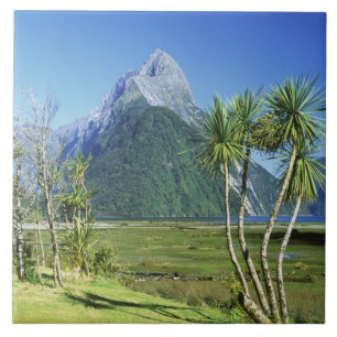 Nya Zeeland, Sydön, Mitre Peak, Kakelplatta