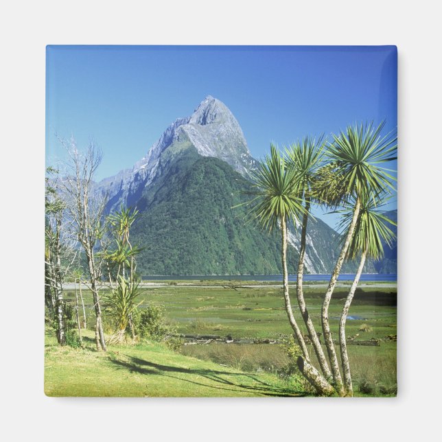 Nya Zeeland, Sydön, Mitre Peak, Magnet (Framsidan)