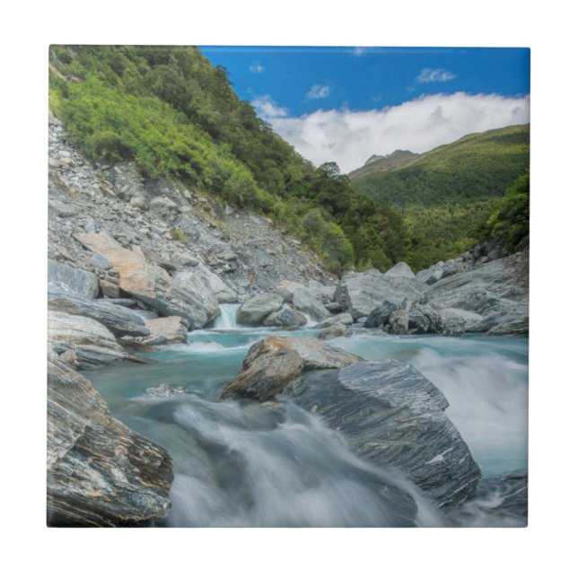 Nya Zeeland, Sydön, Mt. Aspiring nationalpark Kakelplatta (Framsidan)