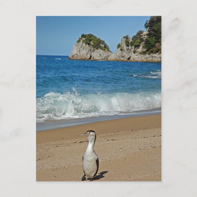 Nya Zeeland Sydön Vykort (Framsida)