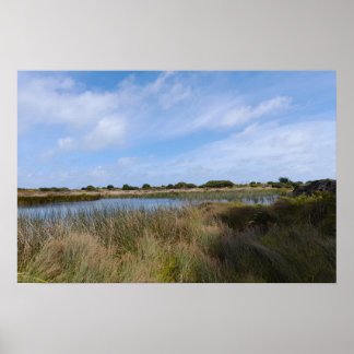 Nya Zeeland Väster Kusten Auckland Whatipu Cave Tr Poster