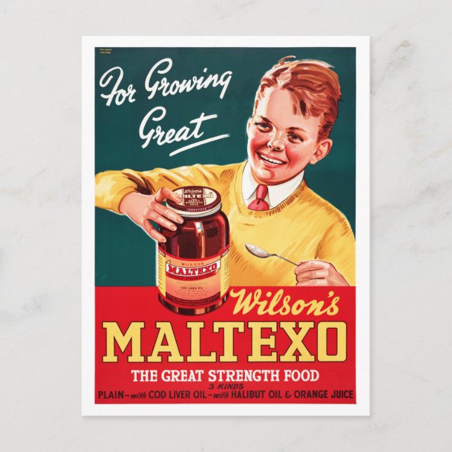 Nya Zeeland Vintage reklamannonsaffisch Vykort (Framsida)