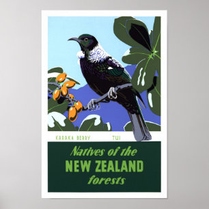 Nya Zeeland Vintage resor Poster återställd