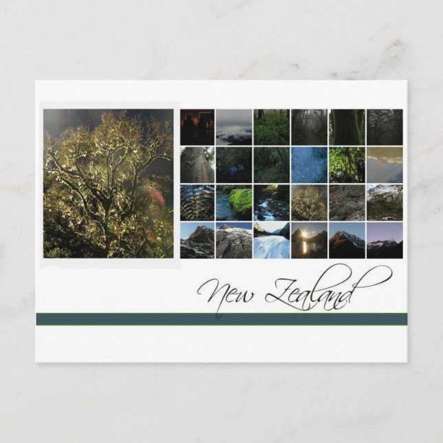 Nya Zeeland Vykort (Framsida)