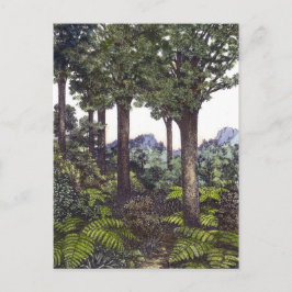 Nya Zeelands buske Vykort