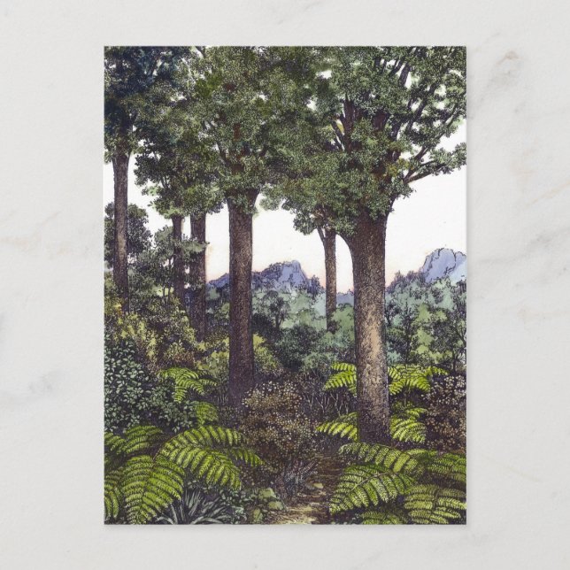 Nya Zeelands buske Vykort (Framsida)